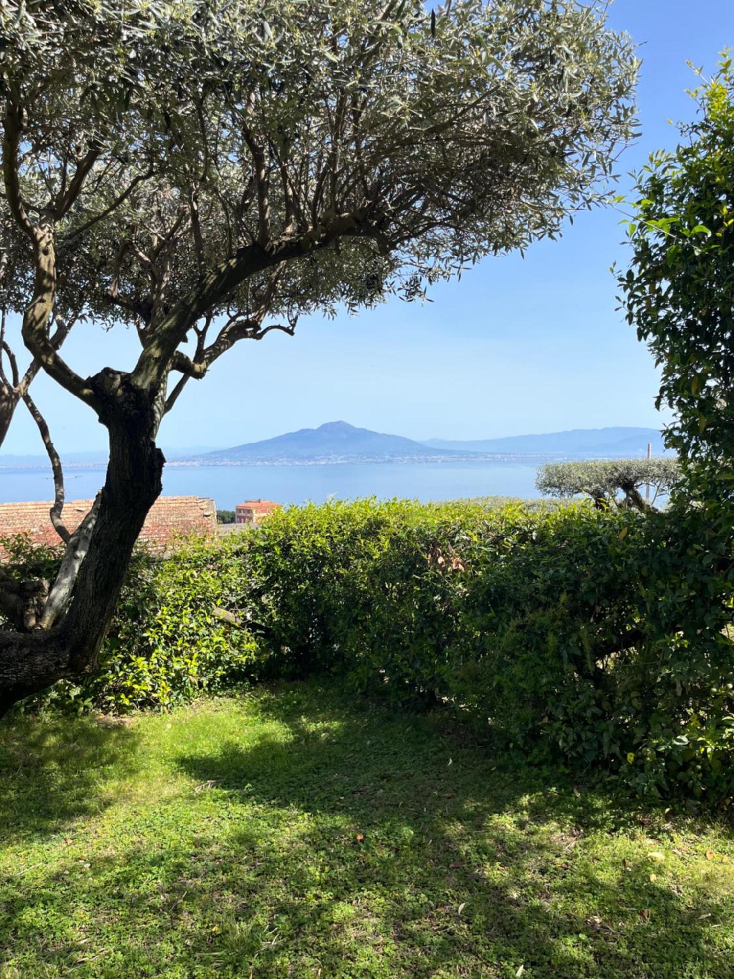 Sorrento Garden Ξενοδοχείο Εξωτερικό φωτογραφία