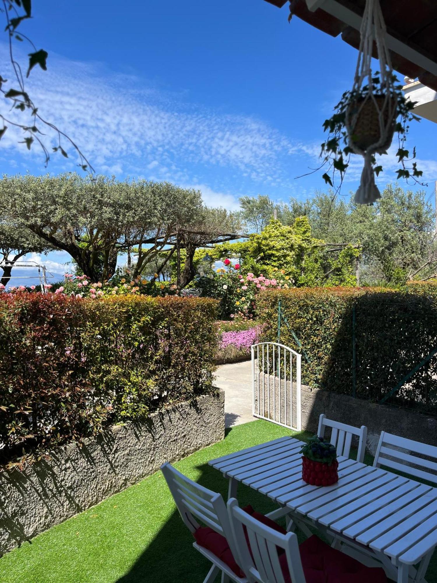 Sorrento Garden Ξενοδοχείο Εξωτερικό φωτογραφία