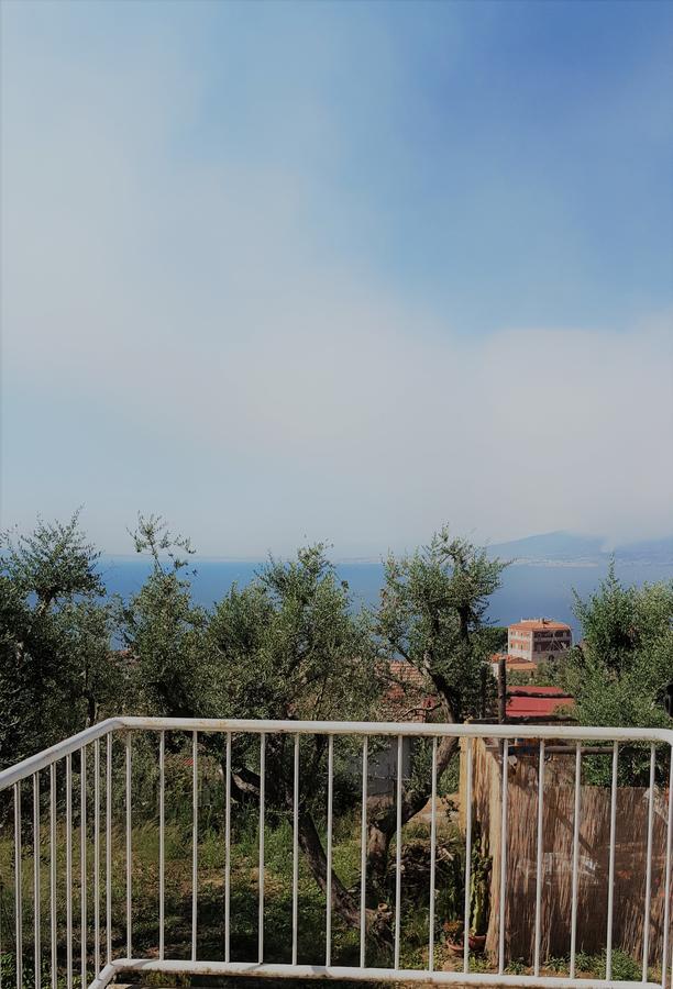 Sorrento Garden Ξενοδοχείο Εξωτερικό φωτογραφία