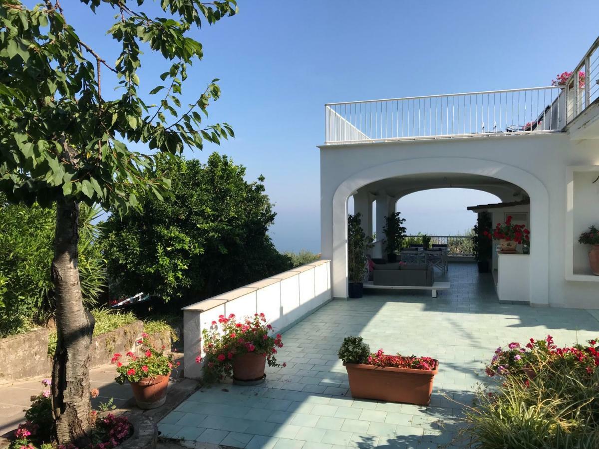 Sorrento Garden Ξενοδοχείο Εξωτερικό φωτογραφία