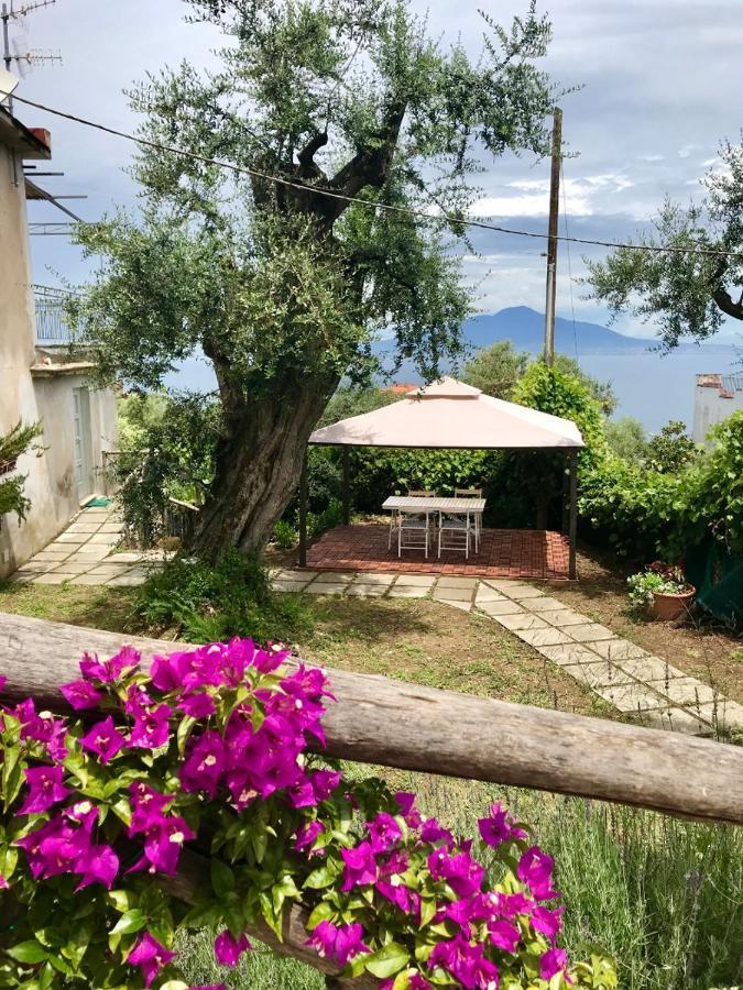 Sorrento Garden Ξενοδοχείο Εξωτερικό φωτογραφία