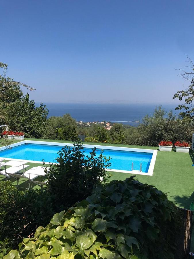 Sorrento Garden Ξενοδοχείο Εξωτερικό φωτογραφία